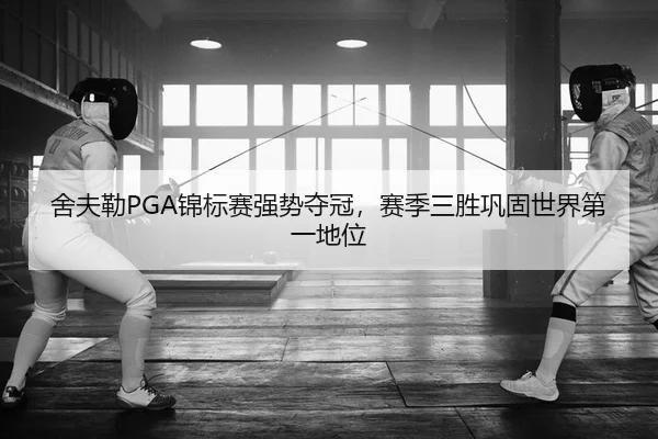 she-fu-lei-jin-biao-sai-qiang-shi-duo-guan-sai-ji-san-sheng-gong-gu-shi-jie-di-yi-di-wei-2-397.jpg